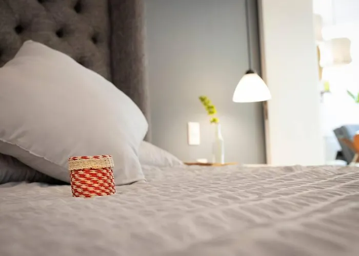 Beautiful Furnished In Roma Norte