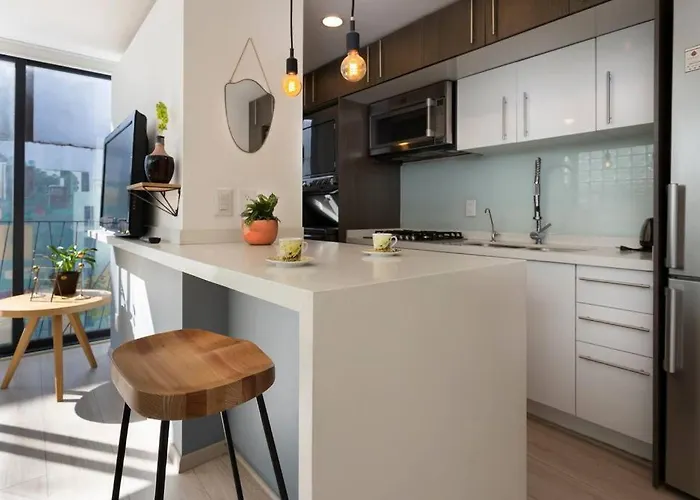 Beautiful Furnished In Roma Norte México DF
